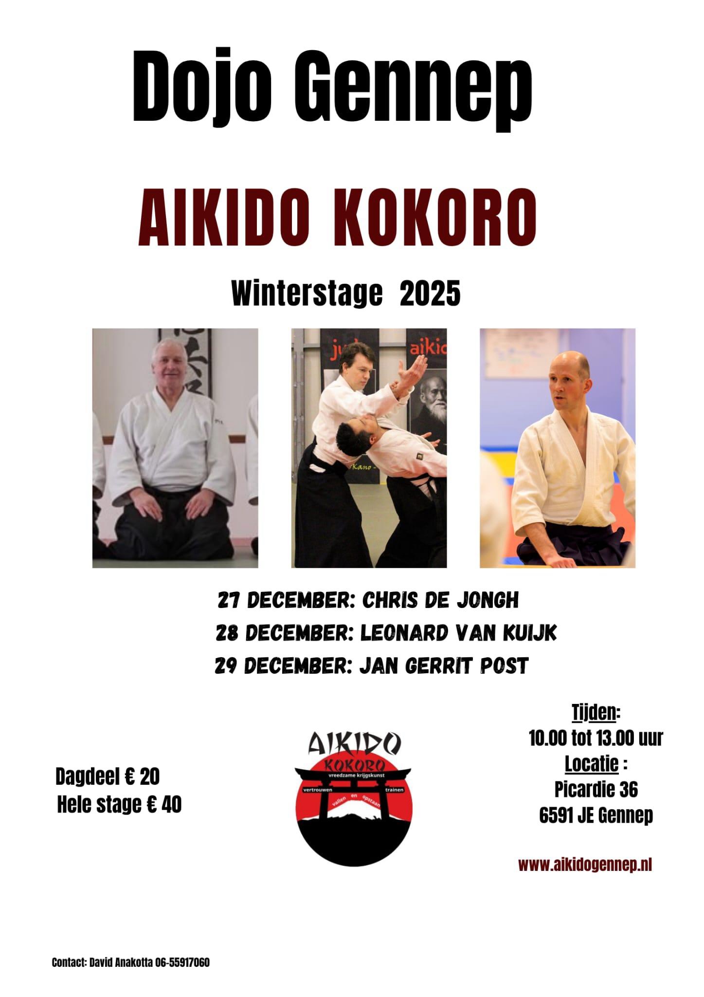 Flyer winterstage Aikido vereniging Kokoro 2025